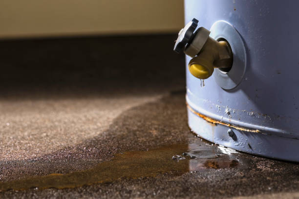Carpet water damage restoration in Hastings, NE