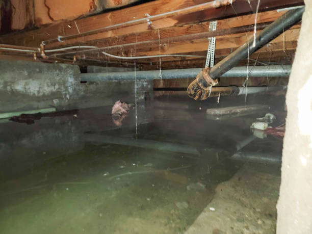 Trusted Hastings, NE Water damage restoration Experts