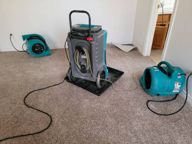  Hastings, NE Water damage restoration Pros
