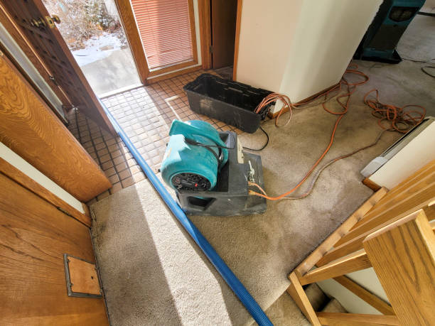 Best Flood restoration services  in Hastings, NE