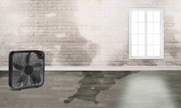 Best Fire Damage Restoration  in Hastings, NE