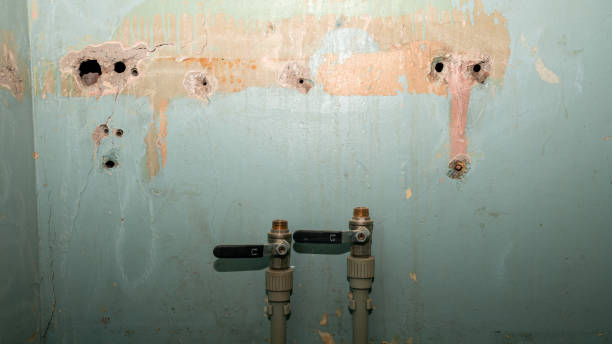 Best Flooded house restoration  in Hastings, NE